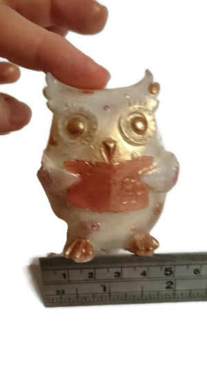 Owl Reading Silicone Mould